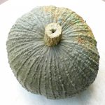 Potimarron vert/orange bio