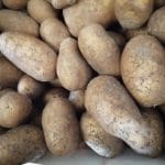 Pomme de terre non bio