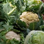 Chou-fleur bio