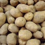 Pomme de terre bio
